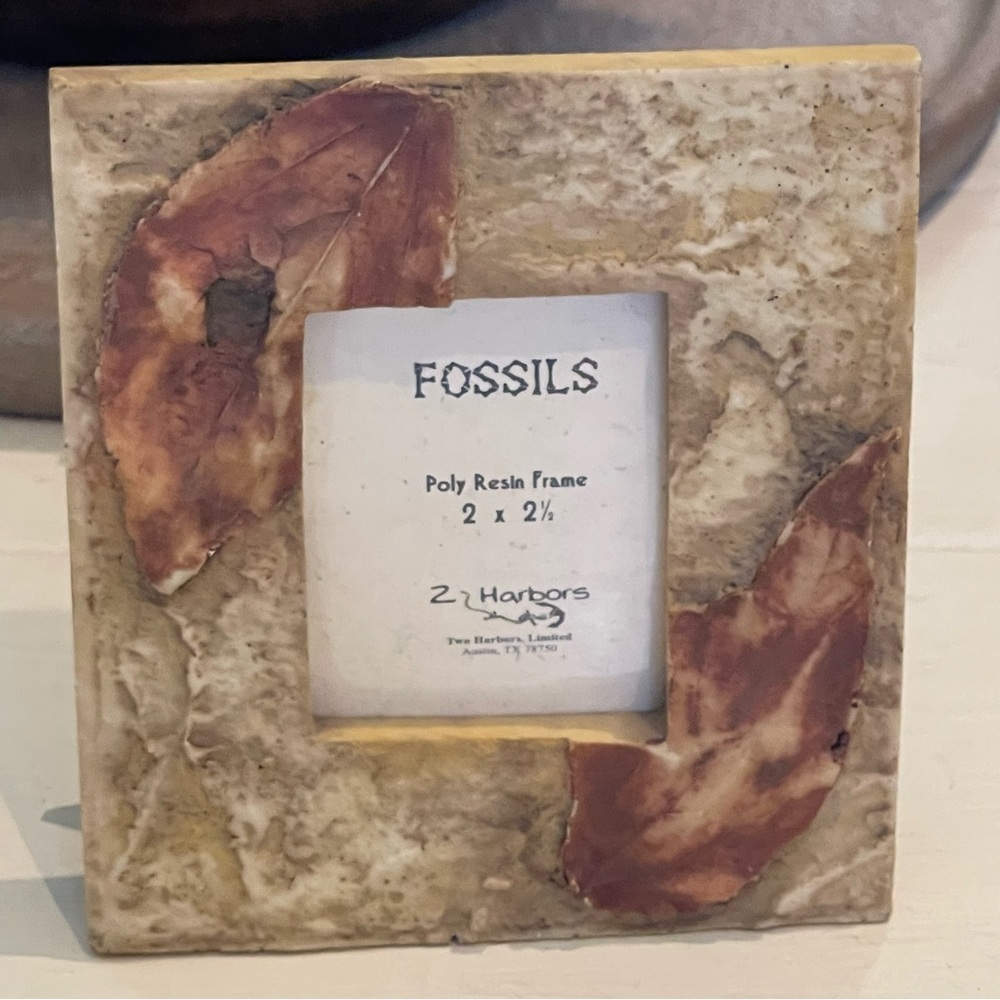 New Fossils mini poly resin picture frame